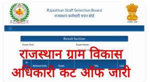 Rajasthan VDO Result 2025